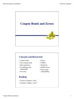 Coupon Bonds and Zeroes potx