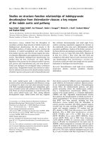Báo cáo khoa học: Studies on structure–function relationships of indolepyruvate decarboxylase from Enterobacter cloacae, a key enzyme of the indole acetic acid pathway ppt