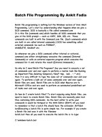 batch file programming - ankit fadia