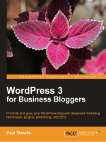 WordPress 3 for Business Bloggers pot