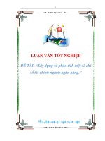 luận văn: Xây dựng và phân tích một số chỉ số tài chính ngành ngân hàng pdf
