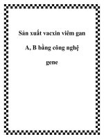 Sản xuất vacxin viêm gan A, B bằng công nghệ gene pdf