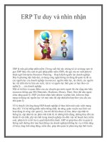 ERP Tư duy và nhìn nhận pptx
