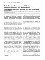 Báo cáo Y học: Ferritin from the spleen of the Antarctic teleost Trematomus bernacchii is an M-type homopolymer doc