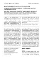 Báo cáo khoa học: Plasmodium falciparum merozoite surface protein 1 Glycosylation and localization to low-density, detergent-resistant membranes in the parasitized erythrocyte pdf
