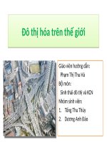 Đô thị hóa trên thế giới