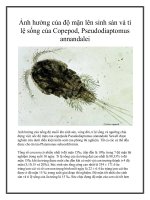 Ảnh hưởng của độ mặn lên sinh sản và tỉ lệ sống của Copepod, Pseudodiaptomus annandalei pdf