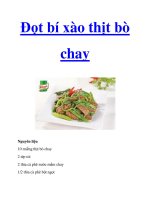 Đọt bí xào thịt bò chay potx