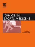 CLINICS IN SPORTS MEDICINE pdf