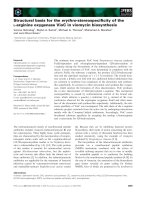 Báo cáo khoa học: Structural basis for the erythro-stereospeciﬁcity of the L-arginine oxygenase VioC in viomycin biosynthesis docx
