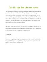 Các bài tập làm tiêu tan stress doc