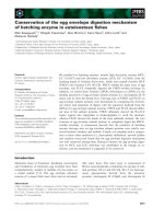 Báo cáo khoa học: Conservation of the egg envelope digestion mechanism of hatching enzyme in euteleostean ﬁshes pot