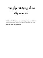 Tự gấp túi đựng hồ sơ đầy màu sắc pdf