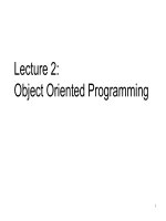 Lecture 2: Object Oriented Programming docx