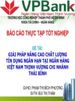 Đề tài: Giải pháp nâng cao chất lượng tín dụng ngán hạn tại ngân hàng Việt Nam Thịnh Vượng Chi nhánh Thái Bình pptx