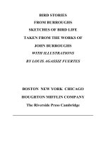 BIRD STORIES FROM BURROUGHS SKETCHES OF BIRD LIFE TAKEN FROM THE WORKS OF JOHN BURROUGHS WITH ILLUSTRATIONS BY LOUIS AGASSIZ FUERTES doc