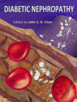 DIABETIC NEPHROPATHY pdf