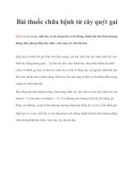 Bài thuốc chữa bệnh từ cây quýt gai ppt