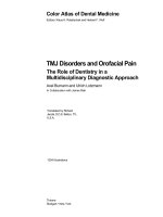 TMJ Disorders and Orofacial Pain The Role of Dentistry in a Multidisciplinary Diagnostic Approach pptx