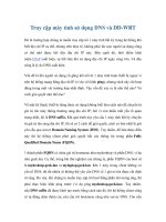 Truy cập máy tính sử dụng DNS và DD-WRT pdf