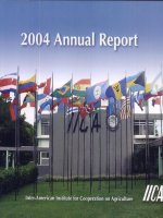 informe anual 2004 2004 annual report pdf