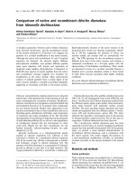 Báo cáo khóa học: Comparison of native and recombinant chlorite dismutase from Ideonella dechloratans pot
