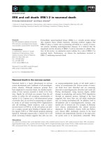 Báo cáo khoa học: ERK and cell death: ERK1⁄2 in neuronal death Srinivasa Subramaniam1 and Klaus Unsicker2 pptx