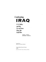 Confronting Iraq - U.S. Policy and the Use of Force Since the Gulf War doc