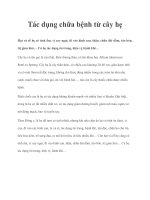 Tác dụng chữa bệnh từ cây hẹ pot