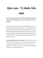 Quả cam - Vị thuốc bốn mùa potx