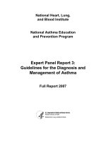 Expert Panel Report 3: Guidelines for the Diagnosis and Management of Asthma docx