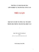 TIỂU LUẬN: MỘT SỐ VẤN ĐỀ VỀ CÔNG TÁC TỔ CHỨC TRONG HỆ THỐNG THANH TRA HIỆN NAY ppt