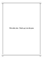 Tiểu nhân sâm - Thuốc quý của dân gian pdf