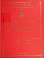 chiến lược đào tạo nhân sự tại công ty cổ phần đầu tư xây dựng và phát triển và phát triển đô thị lilama