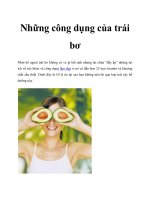 Những công dụng của trái bơ potx