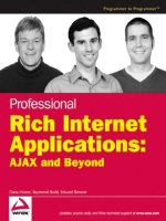  professional rich internet applications, ajax and beyond (2007)