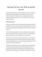 Ngân hàng Việt Nam: Thay đổi để tạo một diện mạo mới pptx