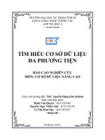 TÌM HIỂU CSDL ĐA PHƯƠNG TIỆN pot