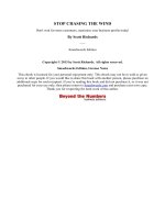 STOP CHASING THE WIND potx