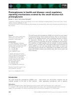 Báo cáo khoa học: Proteoglycans in health and disease: novel regulatory signaling mechanisms evoked by the small leucine-rich proteoglycans ppt
