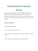 Nhà tốt hướng Nam mang lộc đầy kho pot