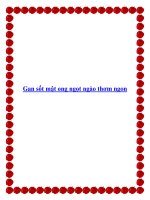 Gan sốt mật ong ngọt ngào thơm ngon ppt