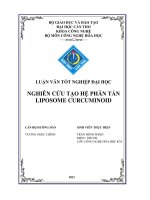 nghiên cứu tạo hệ phân tán liposome curcuminoid