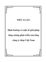 định hướng và một số giải pháp tăng cường phát triển của tổng công ty thép việt nam