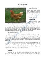 BỆNH ĐẬU GÀ pot