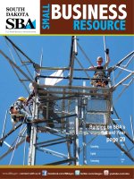 SOUTH DAKOTA - Building on SBA’s Record Year pdf