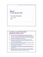 Bài 16: Tự do hóa tài chính docx