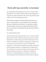 Thuốc phối hợp amoxicilin và clavulanat pot