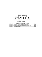 Phần thứ nhất CÂY LÚA docx