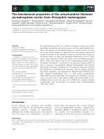 Báo cáo khoa học: The biochemical properties of the mitochondrial thiamine pyrophosphate carrier from Drosophila melanogaster ppt